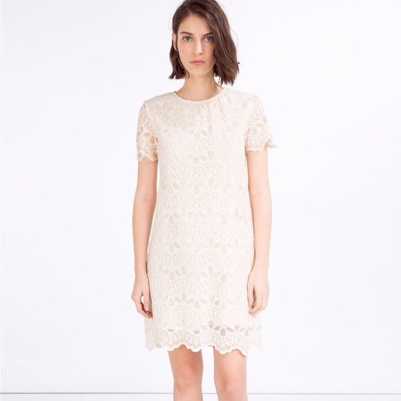 ASOS Dresses & Skirts - Zara Beige Cream Lace Short Sleeve Dress Small